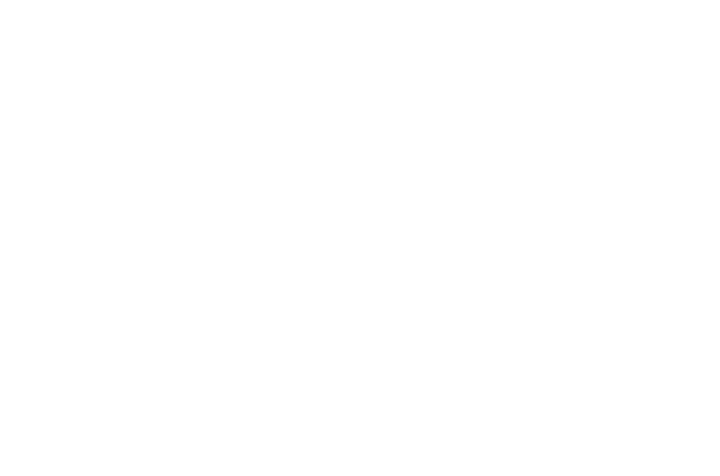 WorldSkills logo